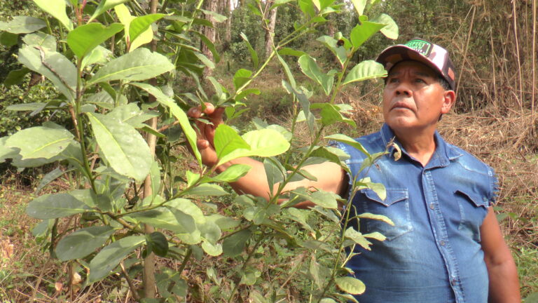 54525033048_8c44425065_o