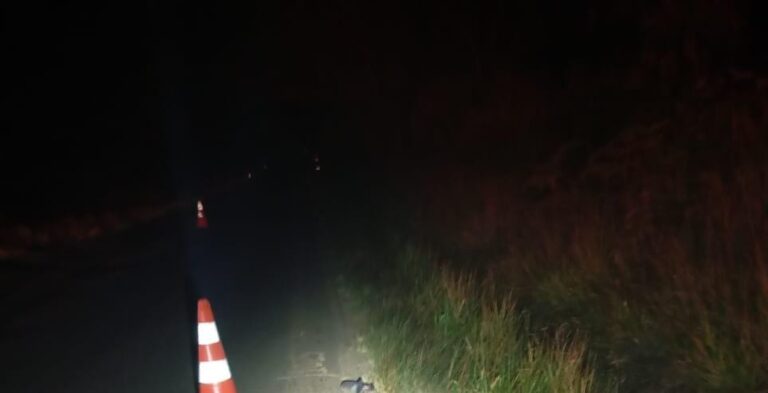 atropelamento ponta grossa