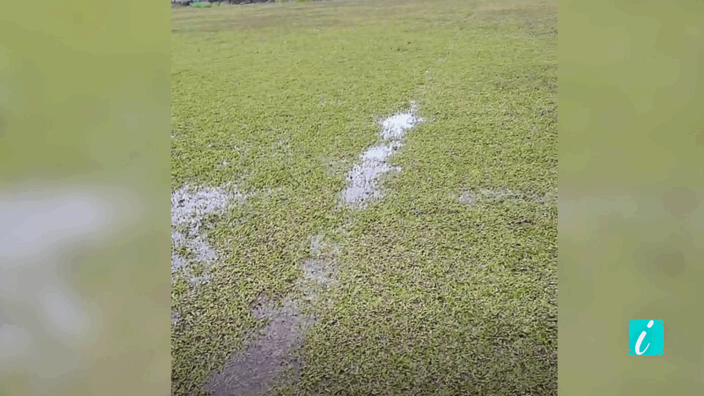 Design sem nome_20250615_114853_0000