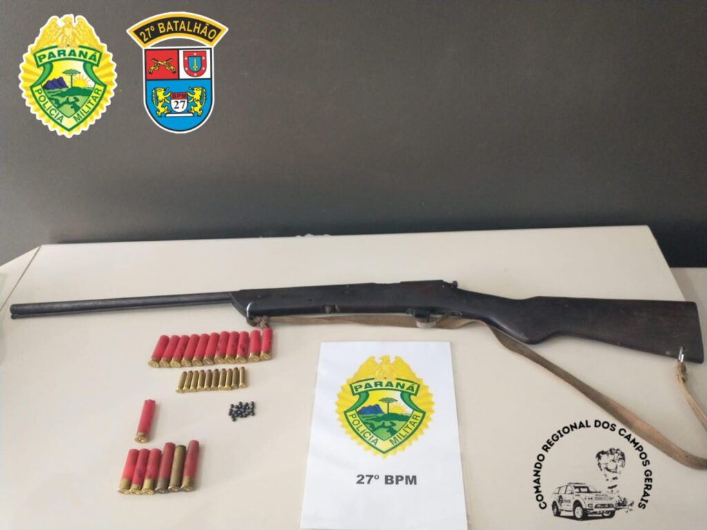 Posse de arma em Cruz Machado 31-07