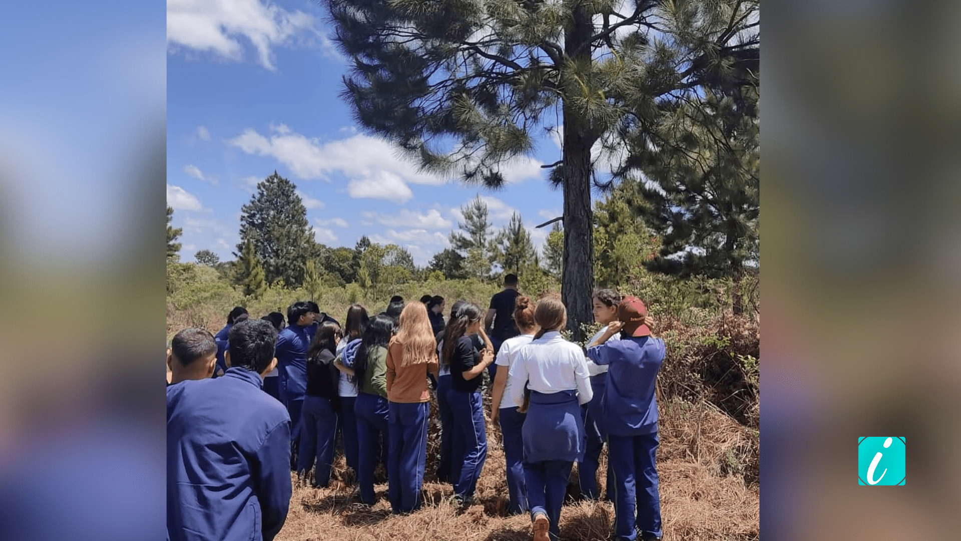 DENÚNCIA_20251027_170140_0000