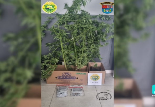 IMAGEM PADRÃO SITE_20260411_084608_0000