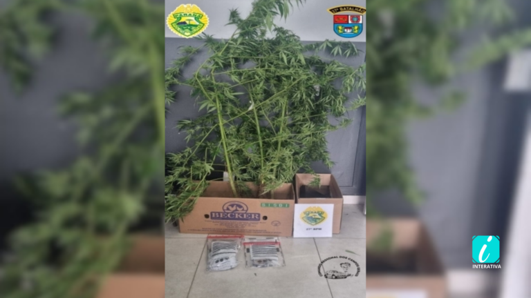 IMAGEM PADRÃO SITE_20260411_084608_0000