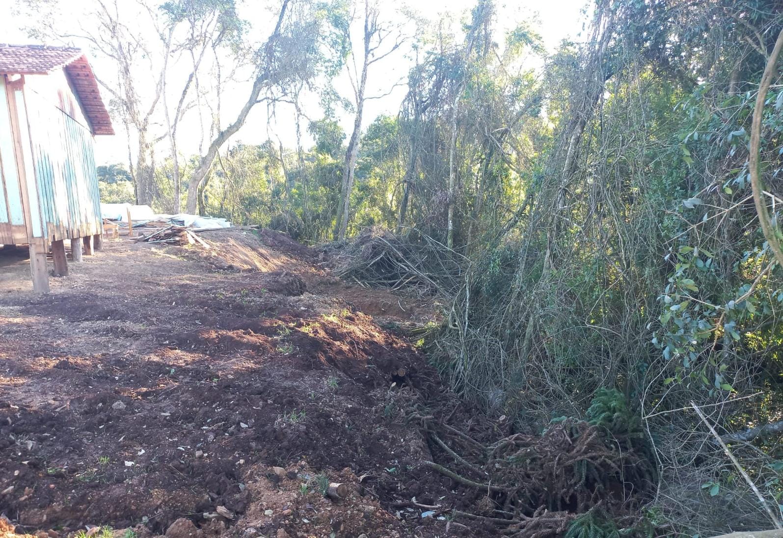 Polícia Ambiental aplica multa e embarga área por desmatamento ilegal em Irati