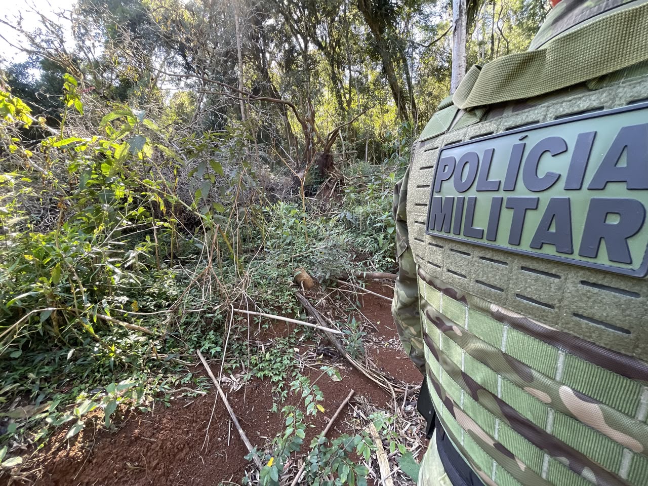 Polícia Ambiental autua dois proprietários por desmatamento ilegal em Pinhão