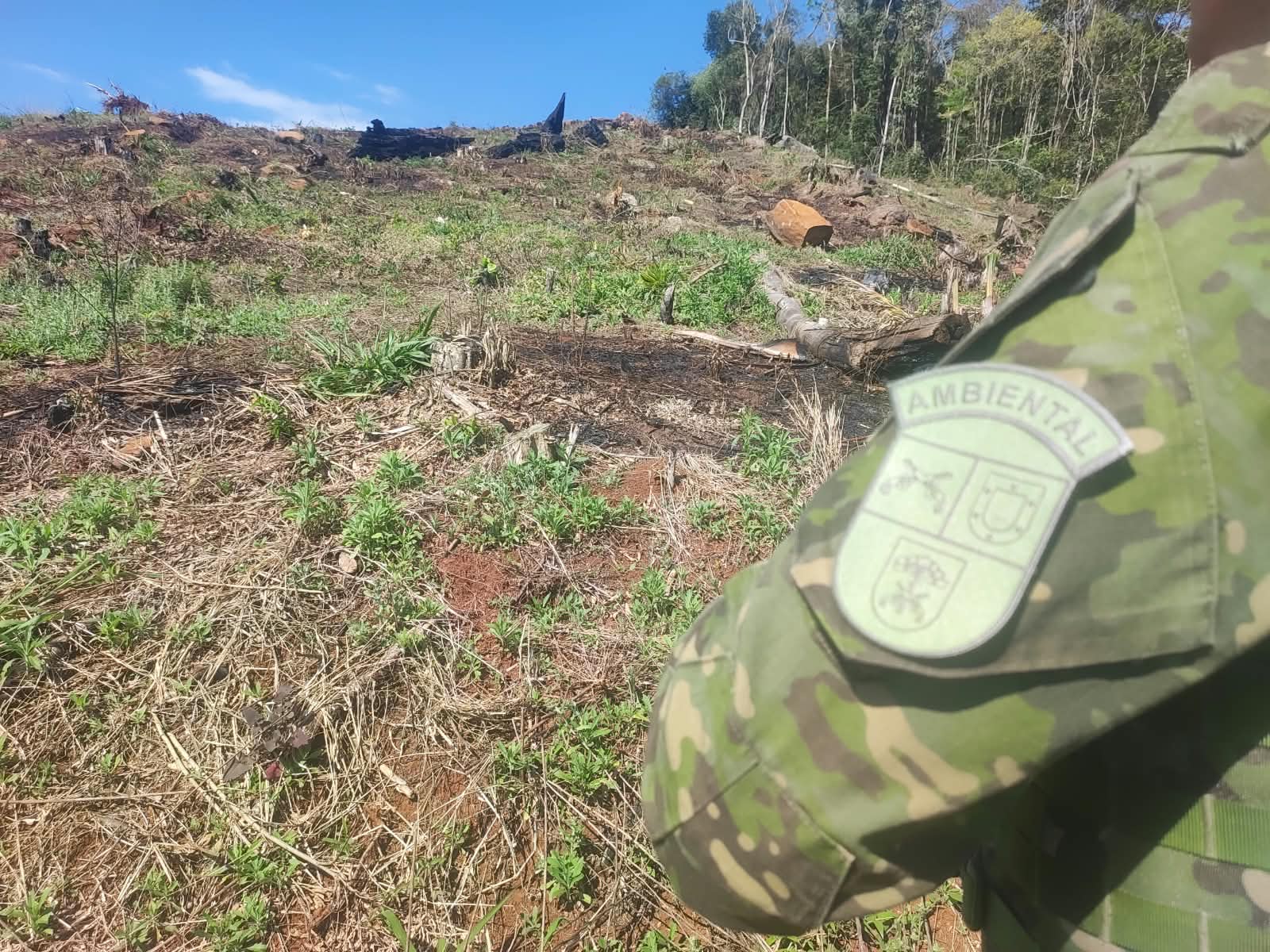 Polícia Ambiental aplica R$ 27,5 mil em multas por destruição de vegetação nativa em Cruz Machado