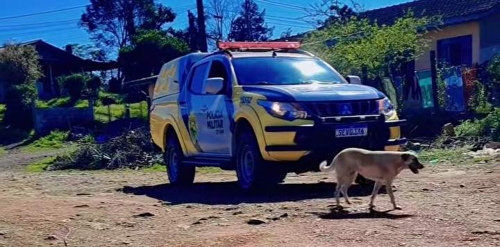 Adolescente de 16 anos é encontrado morto com ferimento de arma de fogo em Cruz Machado
