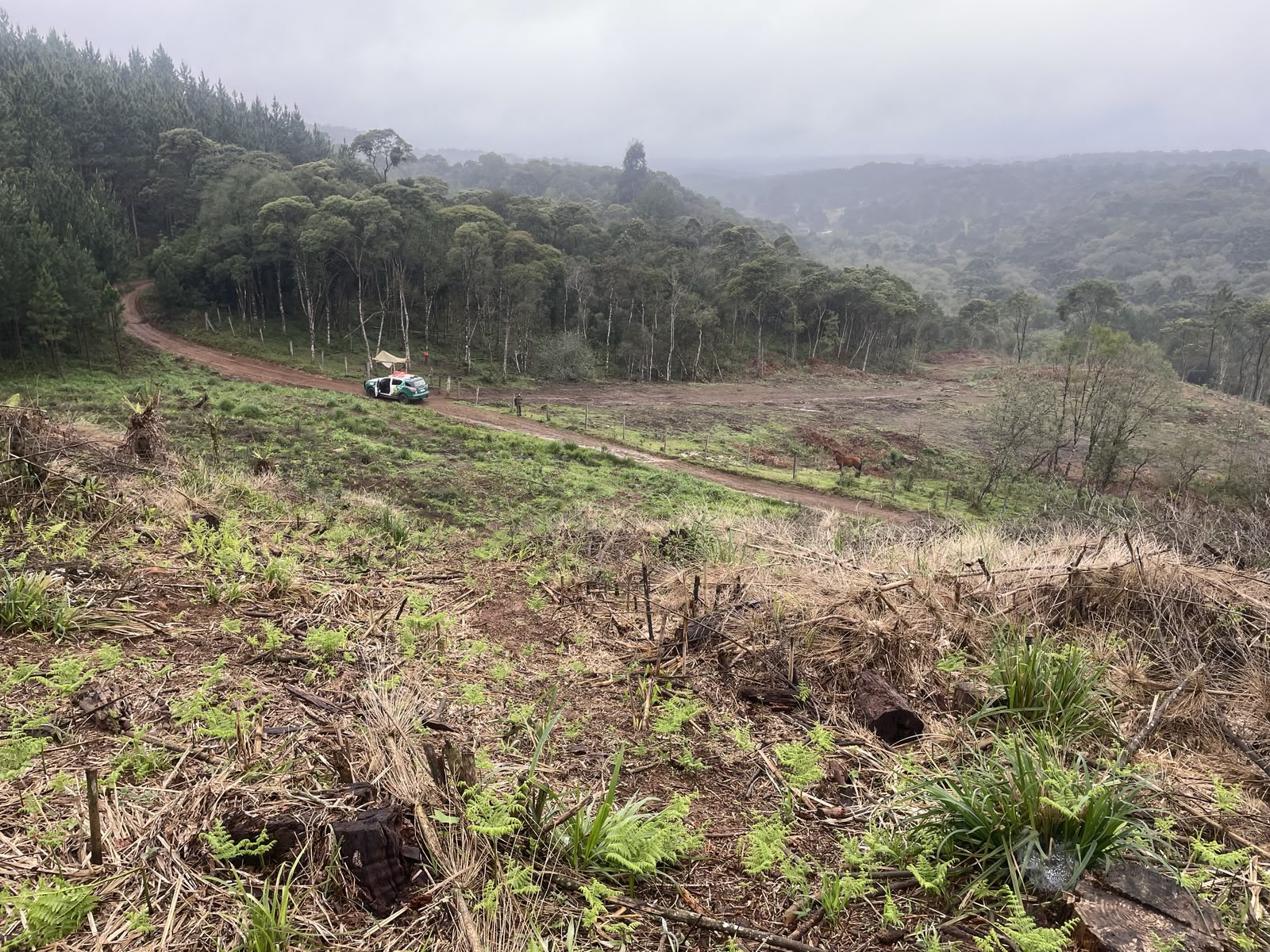 Polícia Ambiental constata destruição de vegetação nativa na Campina Bonita