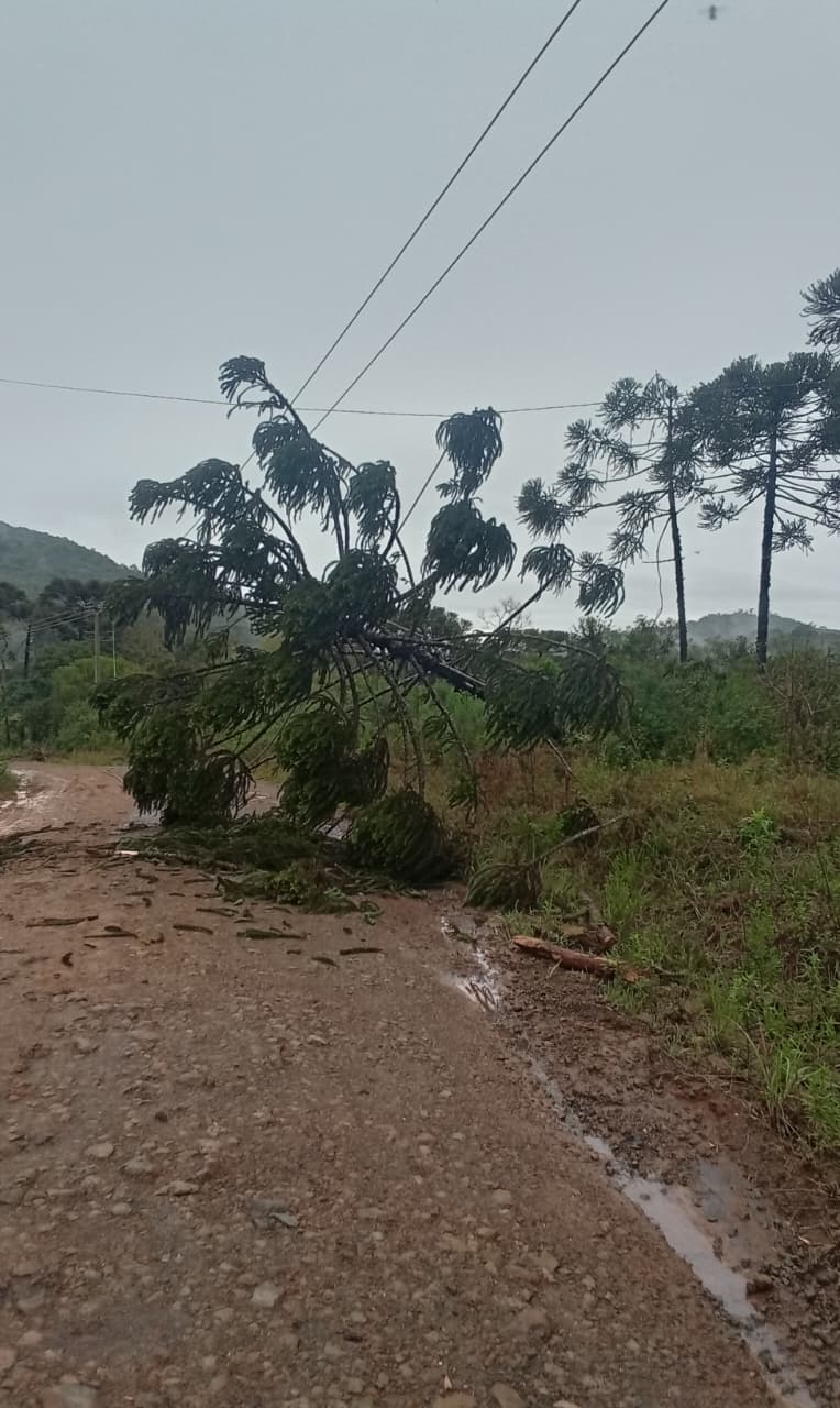Temporal deixa moradores sem energia em Inácio Martins e região
