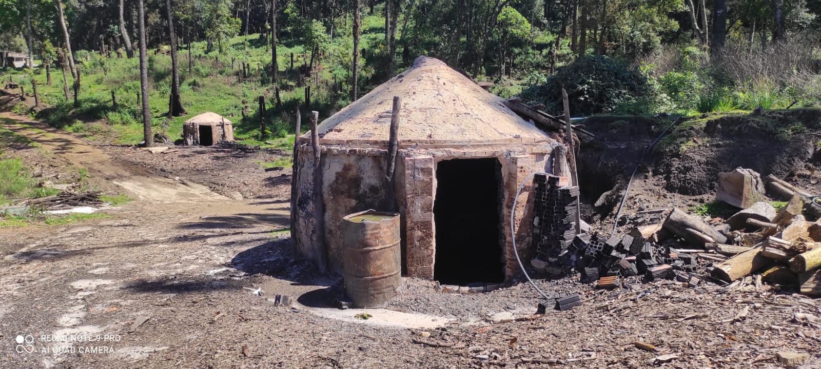 Polícia Militar Ambiental identifica desmatamento e fornos de carvão irregulares em Inácio Martins